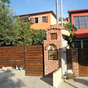 Pensiune Arabas